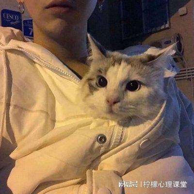 毁灭之刃手游